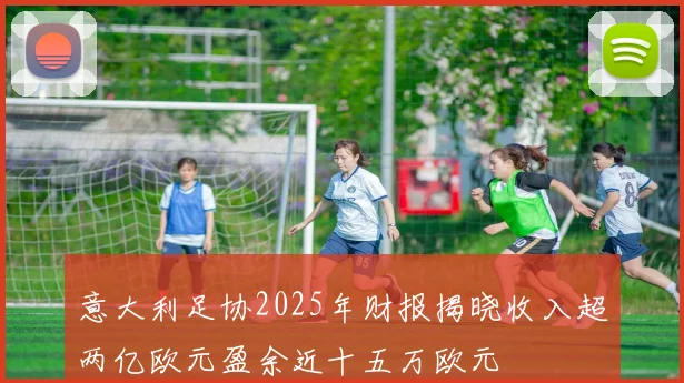 意大利足协2025年财报揭晓收入超两亿欧元盈余近十五万欧元