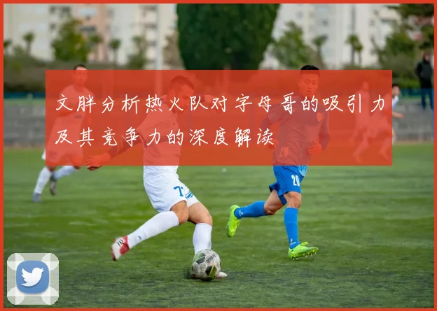 文胖分析热火队对字母哥的吸引力及其竞争力的深度解读